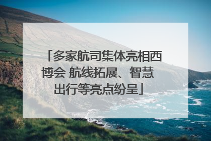 多家航司集体亮相西博会 航线拓展、智慧出行等亮点纷呈