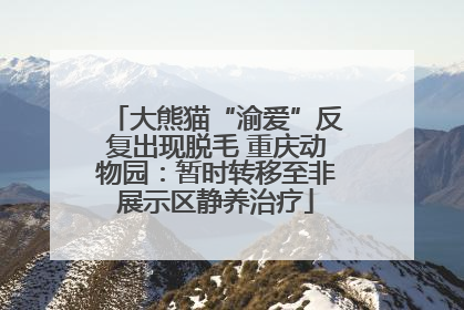 大熊猫“渝爱”反复出现脱毛 重庆动物园：暂时转移至非展示区静养治疗