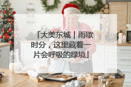 大美东城｜雨歇时分，这里藏着一片会呼吸的绿境
