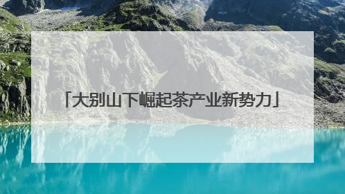 大别山下崛起茶产业新势力