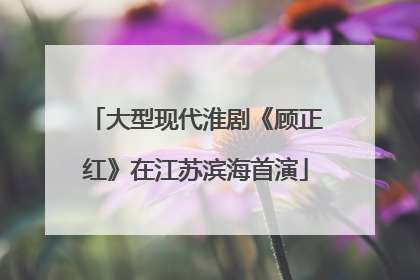 大型现代淮剧《顾正红》在江苏滨海首演