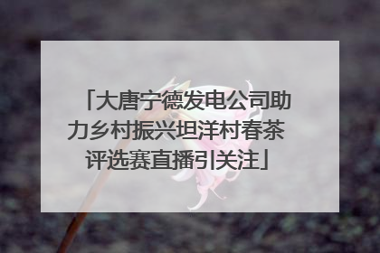 大唐宁德发电公司助力乡村振兴坦洋村春茶评选赛直播引关注