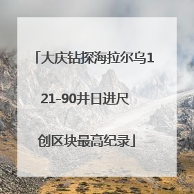 大庆钻探海拉尔乌121-90井日进尺 创区块最高纪录