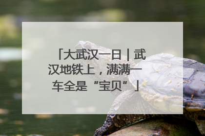 大武汉一日｜武汉地铁上，满满一车全是“宝贝”