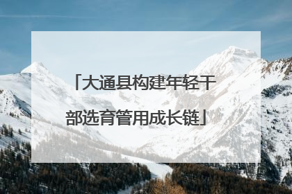 大通县构建年轻干部选育管用成长链
