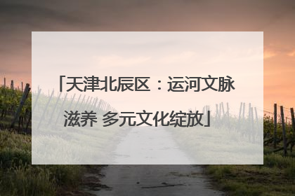 天津北辰区：运河文脉滋养 多元文化绽放