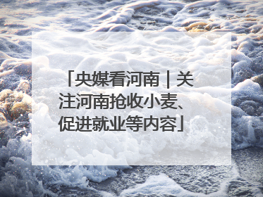 央媒看河南｜关注河南抢收小麦、促进就业等内容