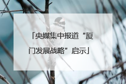 央媒集中报道“厦门发展战略”启示