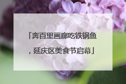 奔百里画廊吃铁锅鱼，延庆区美食节启幕