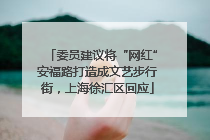 委员建议将“网红”安福路打造成文艺步行街，上海徐汇区回应