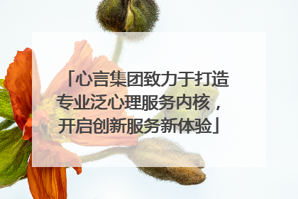 心言集团致力于打造专业泛心理服务内核，开启创新服务新体验