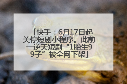 快手：6月17日起关停短剧小程序。此前一逆天短剧“1胎生99子”被全网下架