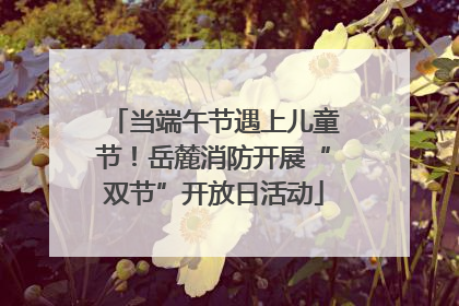当端午节遇上儿童节！岳麓消防开展“双节”开放日活动