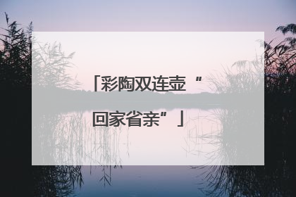 彩陶双连壶“回家省亲”