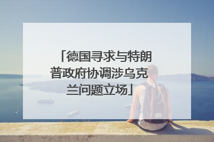 德国寻求与特朗普政府协调涉乌克兰问题立场