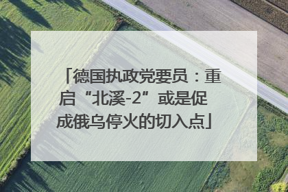 德国执政党要员：重启“北溪-2”或是促成俄乌停火的切入点
