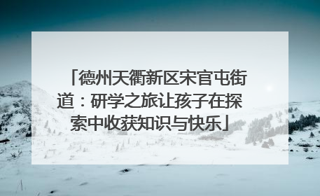 德州天衢新区宋官屯街道：研学之旅让孩子在探索中收获知识与快乐