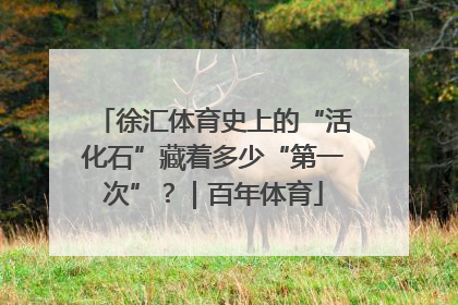 徐汇体育史上的“活化石”藏着多少“第一次”？｜百年体育