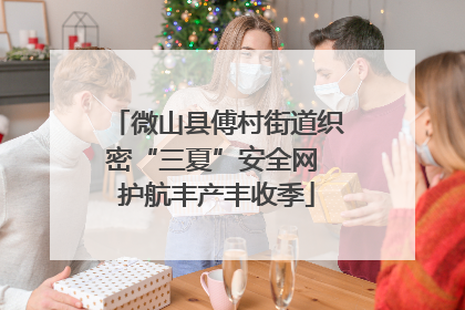 微山县傅村街道织密“三夏”安全网 护航丰产丰收季