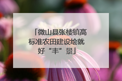 微山县张楼镇高标准农田建设绘就好“丰”景