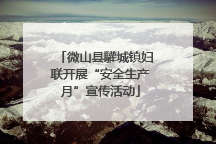 微山县驩城镇妇联开展“安全生产月”宣传活动