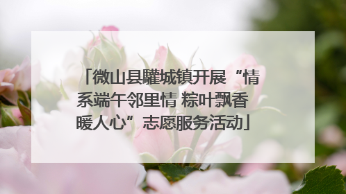 微山县驩城镇开展“情系端午邻里情 粽叶飘香暖人心”志愿服务活动