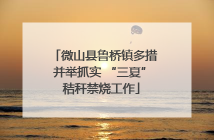 微山县鲁桥镇多措并举抓实 “三夏” 秸秆禁烧工作