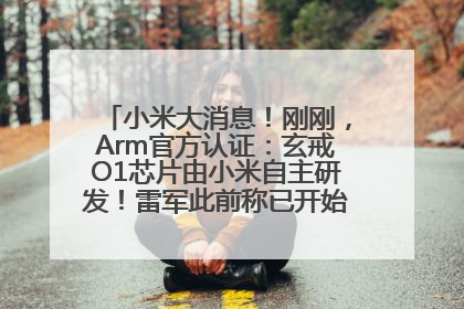 小米大消息！刚刚，Arm官方认证：玄戒O1芯片由小米自主研发！雷军此前称已开始大规模量产
