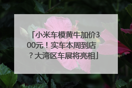 小米车模黄牛加价300元！实车本周到店？大湾区车展将亮相