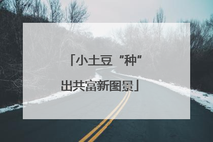 小土豆“种”出共富新图景