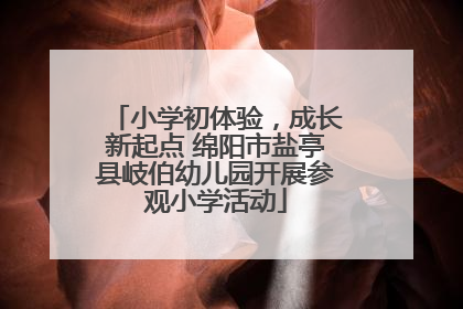 小学初体验，成长新起点 绵阳市盐亭县岐伯幼儿园开展参观小学活动