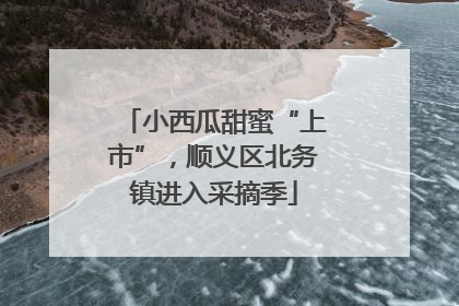 小西瓜甜蜜“上市”，顺义区北务镇进入采摘季