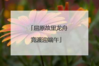 屈原故里龙舟竞渡迎端午