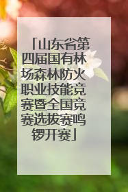 山东省第四届国有林场森林防火职业技能竞赛暨全国竞赛选拔赛鸣锣开赛