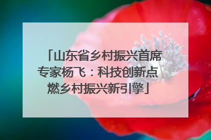 山东省乡村振兴首席专家杨飞：科技创新点燃乡村振兴新引擎