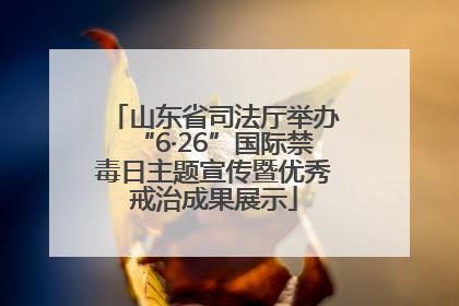 山东省司法厅举办“6·26”国际禁毒日主题宣传暨优秀戒治成果展示