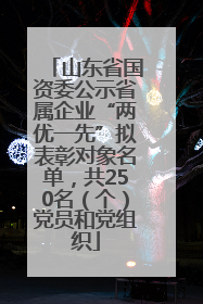 山东省国资委公示省属企业“两优一先”拟表彰对象名单，共250名（个）党员和党组织