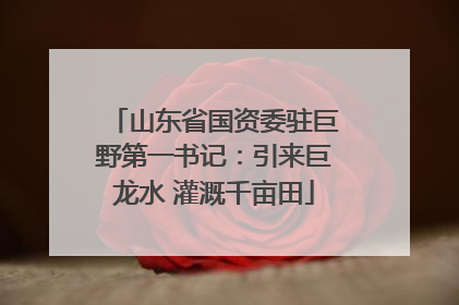 山东省国资委驻巨野第一书记：引来巨龙水 灌溉千亩田