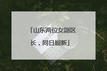 山东两位女副区长，同日履新