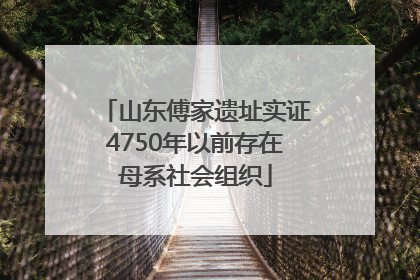 山东傅家遗址实证4750年以前存在母系社会组织