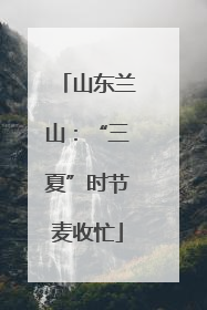 山东兰山：“三夏”时节麦收忙