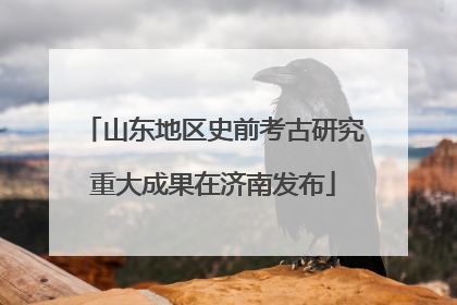 山东地区史前考古研究重大成果在济南发布