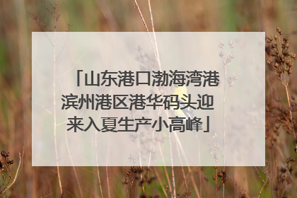 山东港口渤海湾港滨州港区港华码头迎来入夏生产小高峰