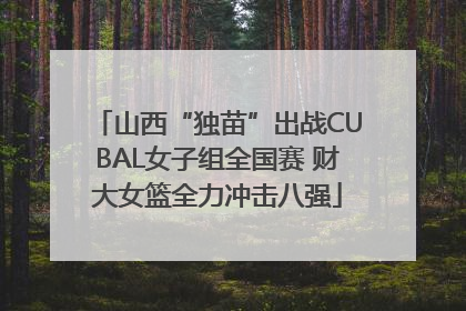 山西“独苗”出战CUBAL女子组全国赛 财大女篮全力冲击八强