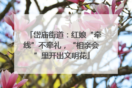 岱庙街道：红娘“牵线”不牵礼，“相亲会”里开出文明花