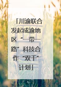 川渝联合发起成渝地区“一带一路”科技合作“双千”计划