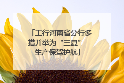 工行河南省分行多措并举为“三夏” 生产保驾护航