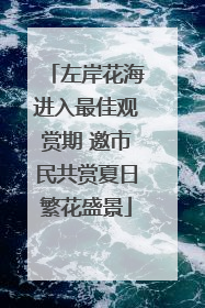 左岸花海进入最佳观赏期 邀市民共赏夏日繁花盛景