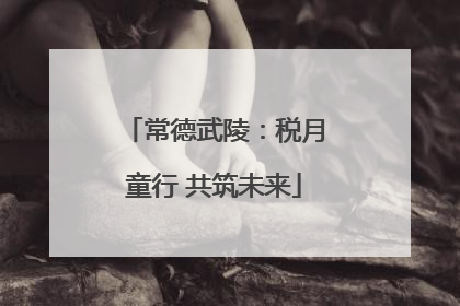 常德武陵：税月童行 共筑未来