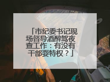 市纪委书记现场督导酒醉驾夜查工作：有没有干部耍特权？